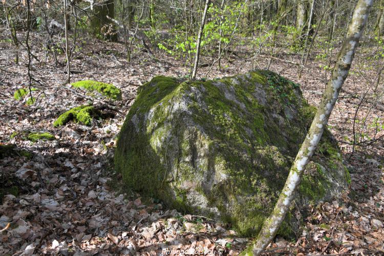 Rochers du Mont Dosne de Luzy