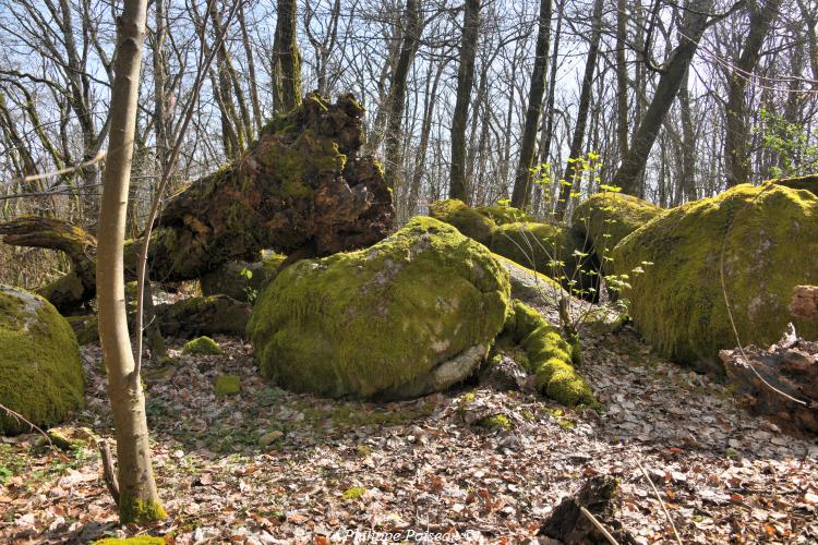 Rochers du Mont Dosne de Luzy