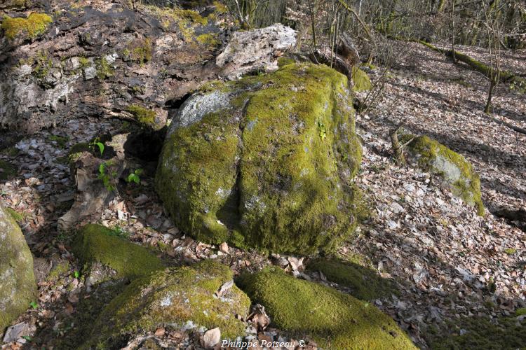 Rochers du Mont Dosne de Luzy