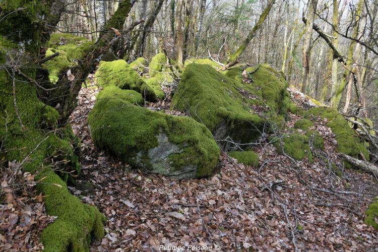 Rochers du Mont Dosne de Luzy