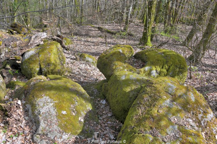 Rochers du Mont Dosne de Luzy