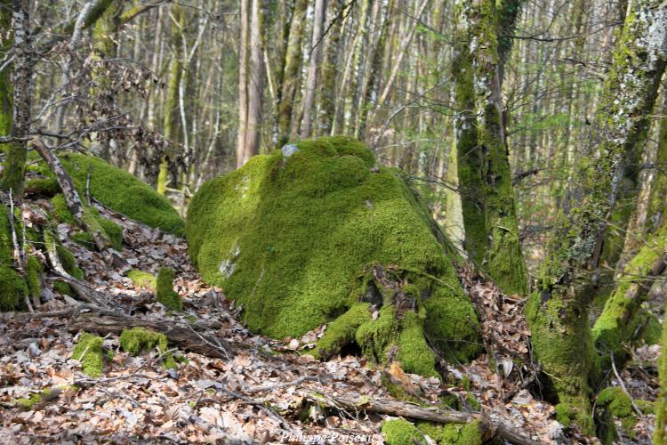 Rochers du Mont Dosne de Luzy