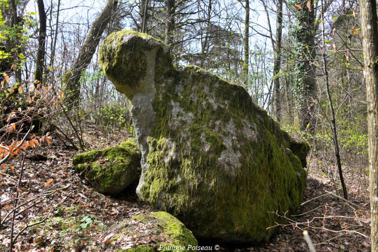 Rochers du Mont Dosne de Luzy