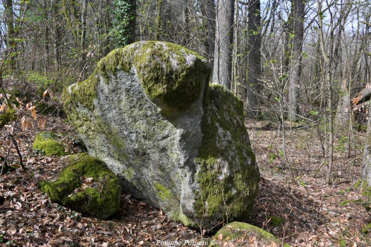 Rochers du Mont Dosne de Luzy