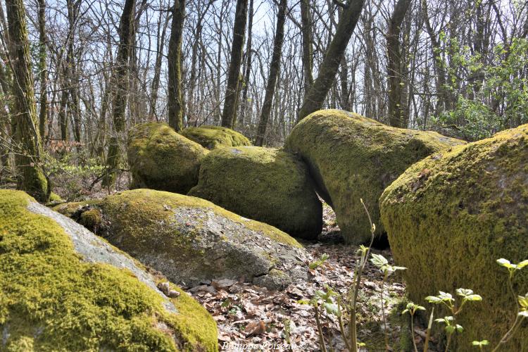 Rochers du Mont Dosne de Luzy un beau patrimoine