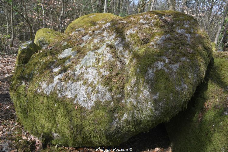 Rochers du Mont Dosne de Luzy