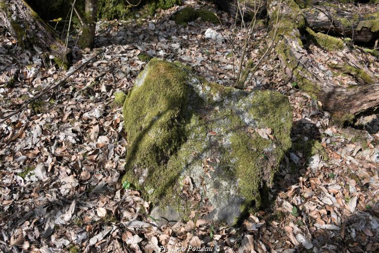 Rochers du Mont Dosne de Luzy