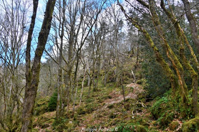 Roches du Bois de Chaumot
