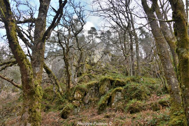 Les Roches du Bois de Chaumot un beau patrimoine
