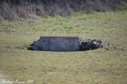 Ruines de la chapelle de Michaugues