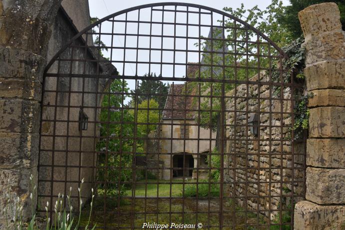 Ruines du château de Vignes le Haut