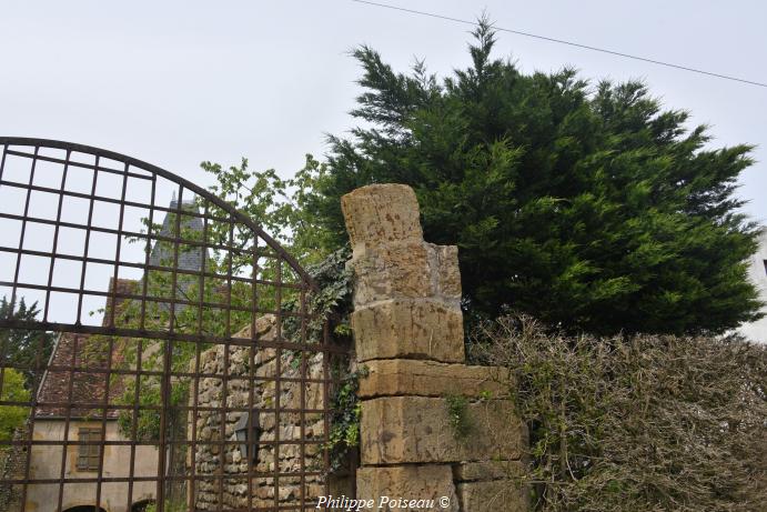 Ruines du château de Vignes le Haut 