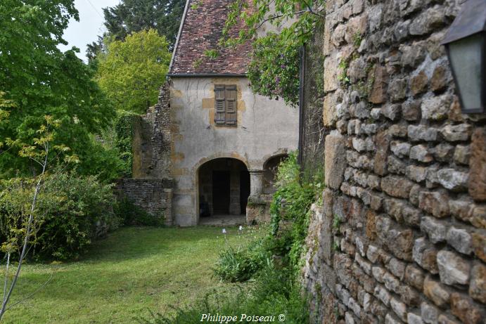 Ruines du château de Vignes le Haut 