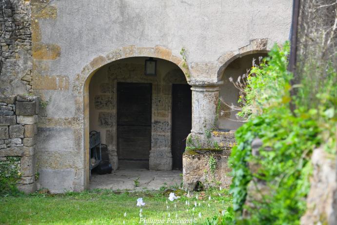 Ruines du château de Vignes le Haut 