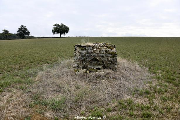 Source de Coeuillon 