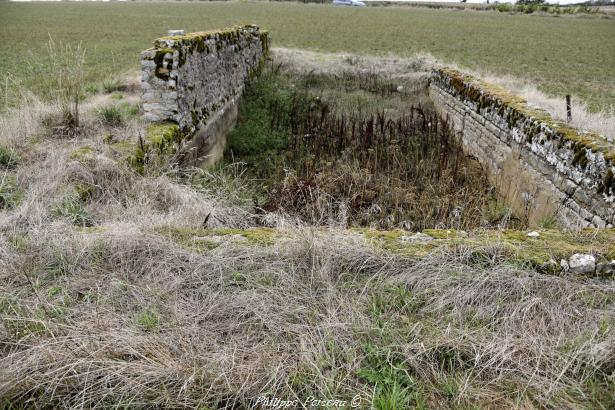 Source de Coeuillon 