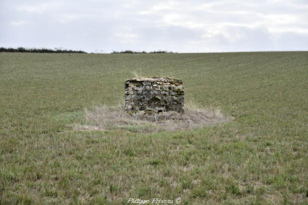 Source de Coeuillon