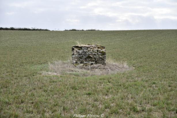 Source de Coeuillon un patrimoine