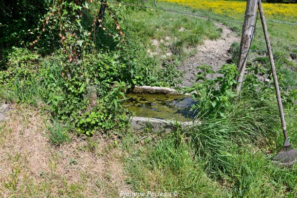 La source des Assiards un beau patrimoine