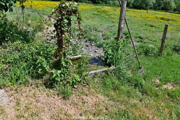 La source des Assiards