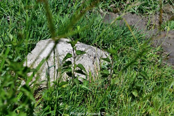 La source des Assiards