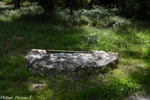 Source du domaine des Fontaines