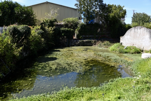 Source du petit Soumard