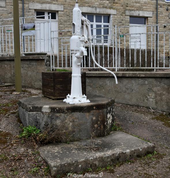 Un Puits et sa pompe à Bazolles