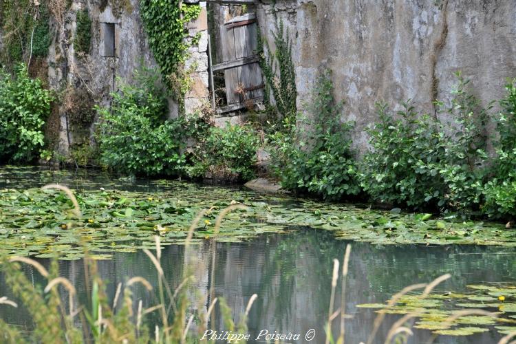 Un petit lavoir du Quai des îles