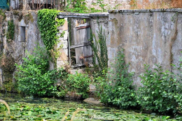 Un petit lavoir du Quai des îles