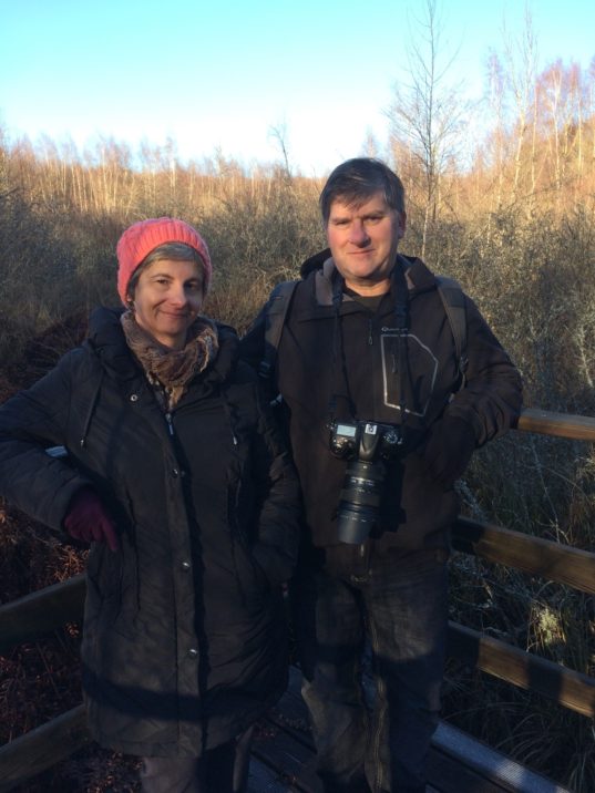 Les églises romanes