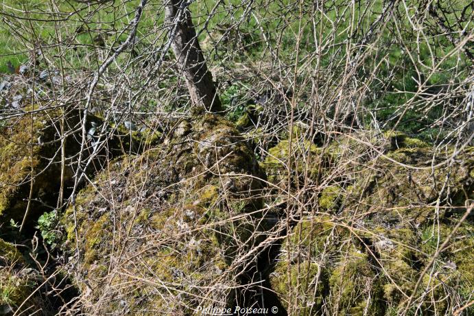Vestiges de la "Pierre des Élus" un beau patrimoine