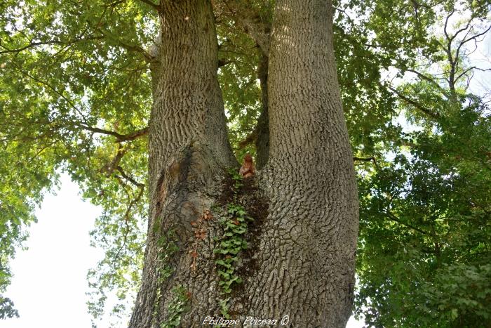 Vierge dans l'arbre 