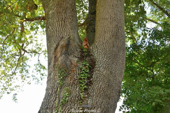 Vierge dans l'arbre 