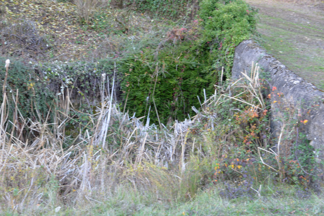 Abreuvoir de Baulieu