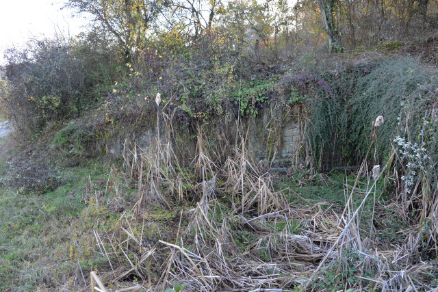 Abreuvoir de Baulieu