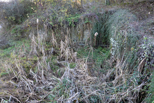 Abreuvoir de Baulieu