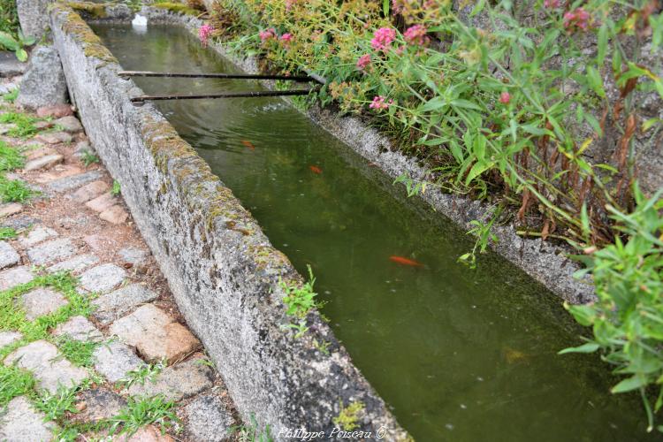 Abreuvoir lavoir de Rincieux