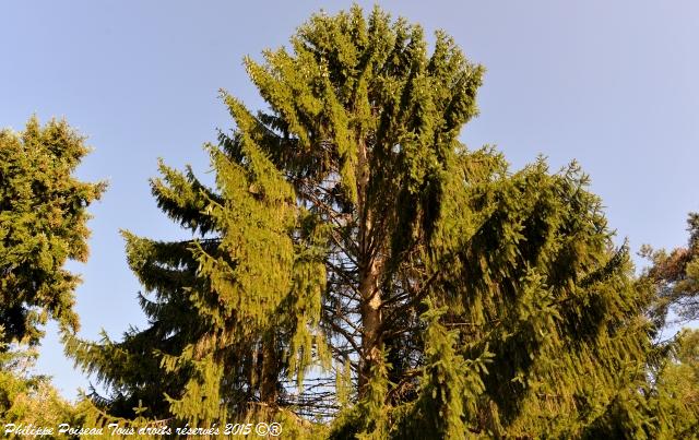 Bertranges Arboretum