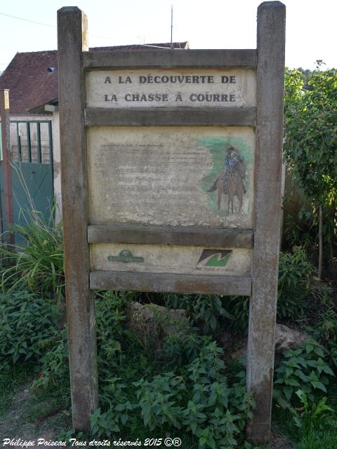 Un arboretum de la Forêt des Bertranges