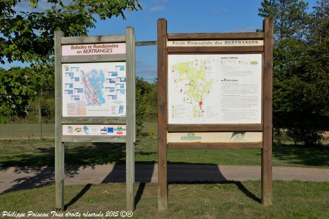 Forêt des Bertranges Arboretum