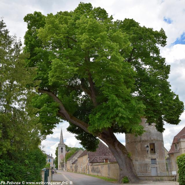 La Nièvre de Bourgogne
