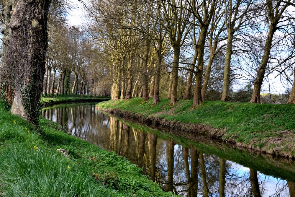 La Nièvre de Bourgogne