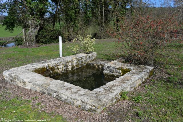 Petit lavoir de Billy Chevannes