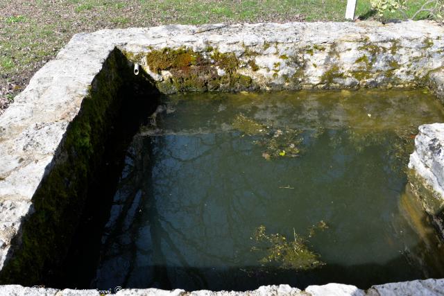 Petit lavoir de Billy Chevannes