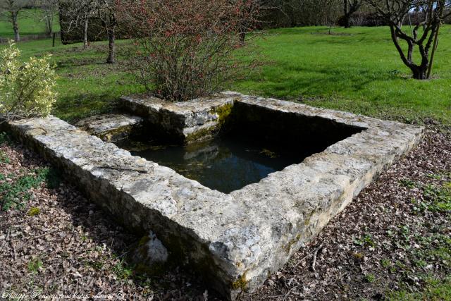 Petit lavoir de Billy Chevannes