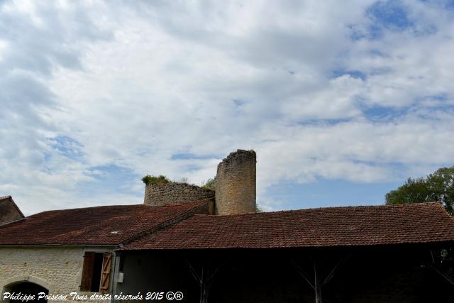 Château de Bulcy