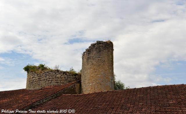 Château de Bulcy Nièvre Passion