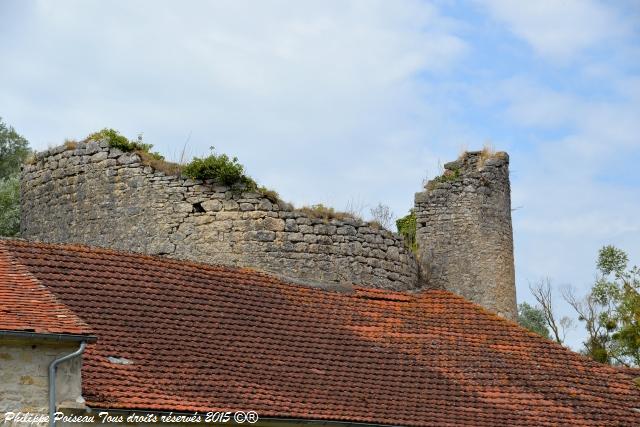 Château de Bulcy
