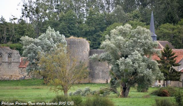 Château de Bulcy Nièvre Passion